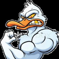 Duck Dynasty